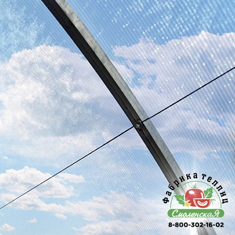 СИСТЕМА ПОДВЯЗКИ РАСТЕНИЙ